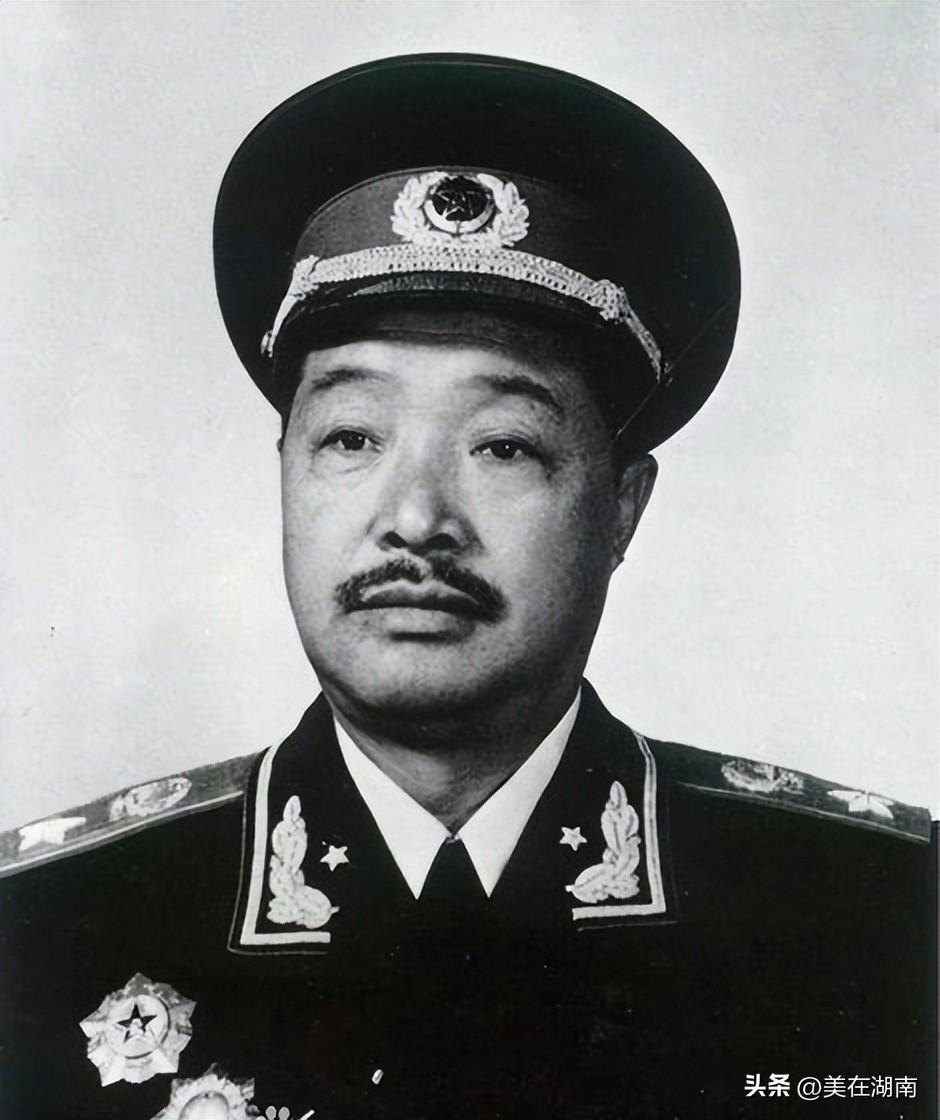 乐至世俊国际最新消息,创新发展策略_品牌版94.807