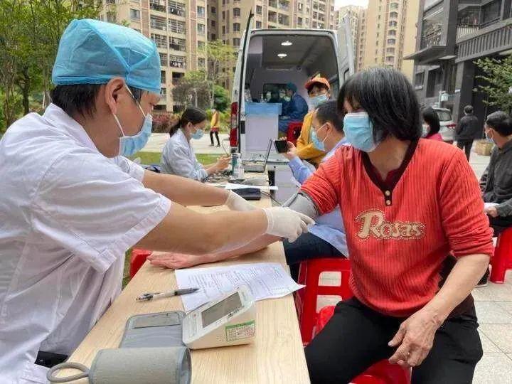 大米最新价格,数据引导设计方法_共享版94.269