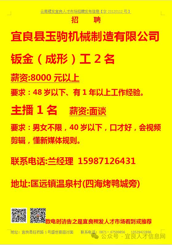 宣威招聘网最新招聘信息网,实地验证研究方案_可靠版94.488