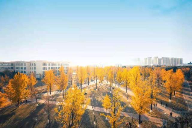 最新瀚,专业解读方案实施_定制版94.438