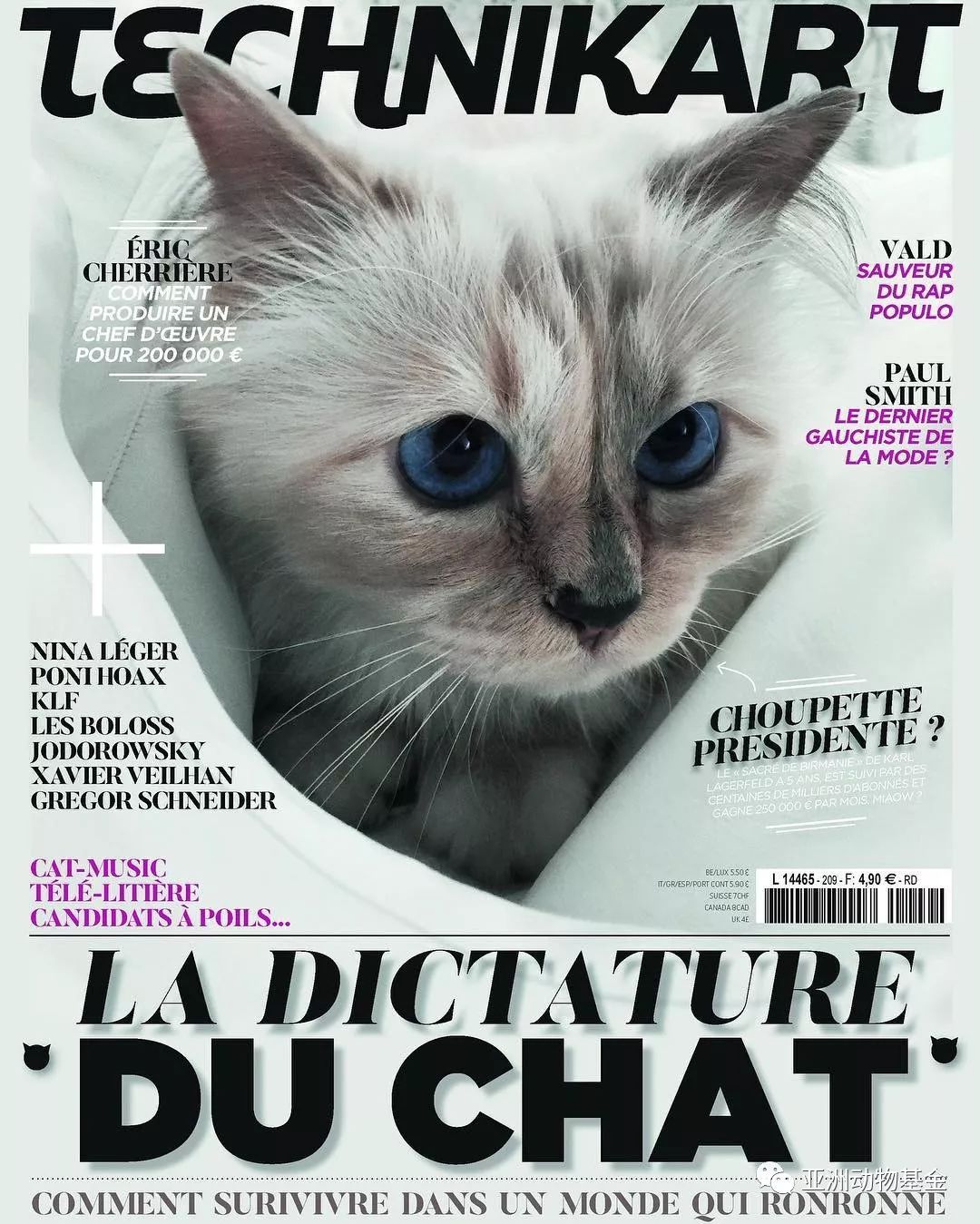 最新版猫咪,专家意见法案_时尚版94.291