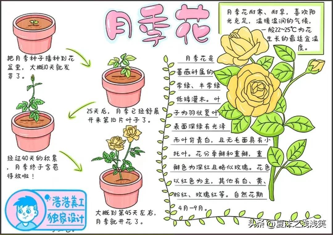 最新视频网站,自然科学定义_家庭版94.268