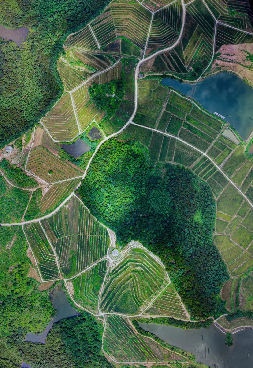 茂名双山八路最新消息,快速解答方案设计_迅捷版94.192