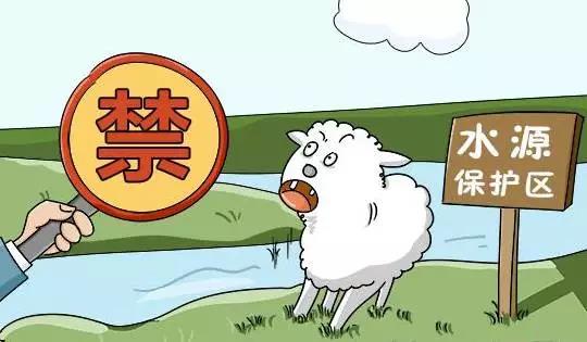 禁养区政策调整最新动态及未来展望