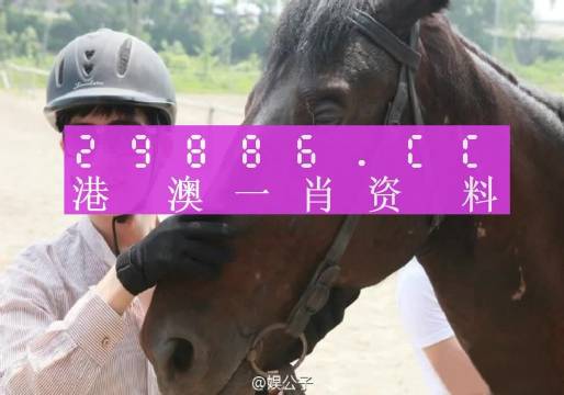 新澳门一肖一码中恃,现况评判解释说法_明亮版22.105