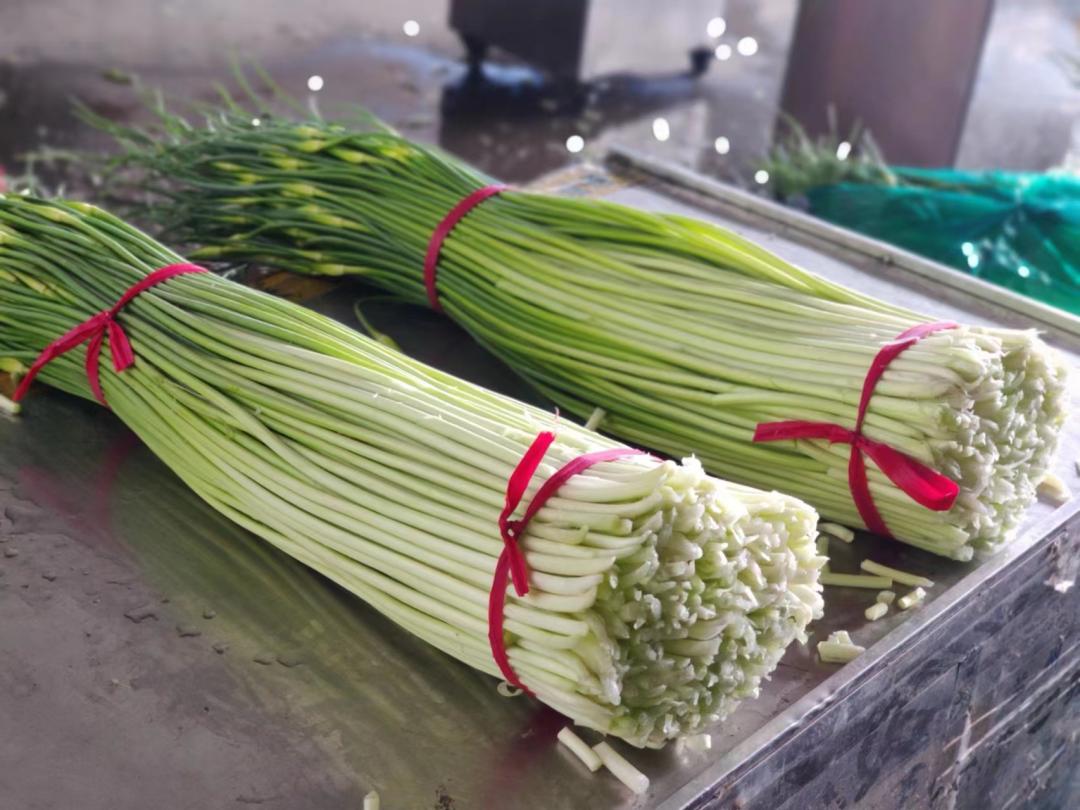 蒜薹价格最新行情,市场波动引发的观点碰撞