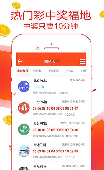 澳门王中王100的准资料,深入研究执行计划_寻找版48.238