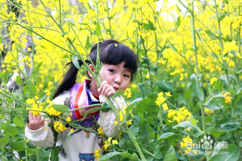 肌营养不良最新消息,自然美景中的旅行探索与内心力量的寻找