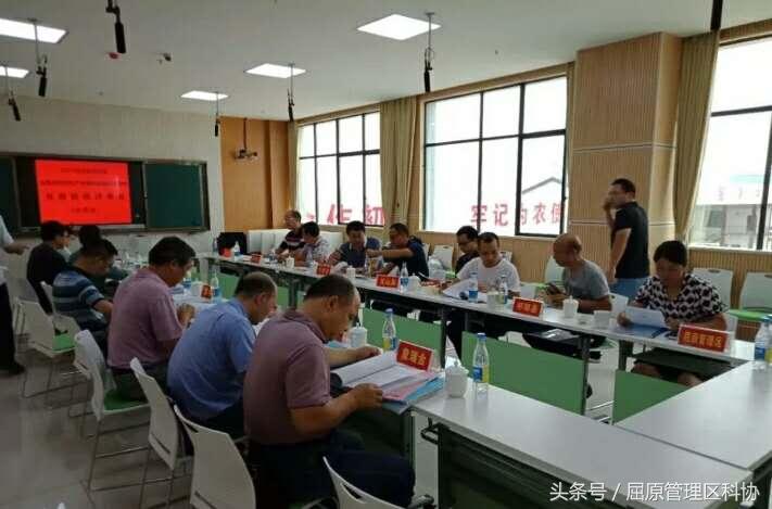 最新互助平台,让生活更便捷的服务助手!