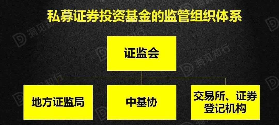 私募基金最新动态与日常趣事分享