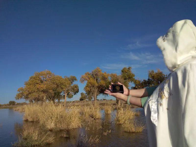 二甘醇最新价格揭秘,自然美景背后的旅行探索之旅