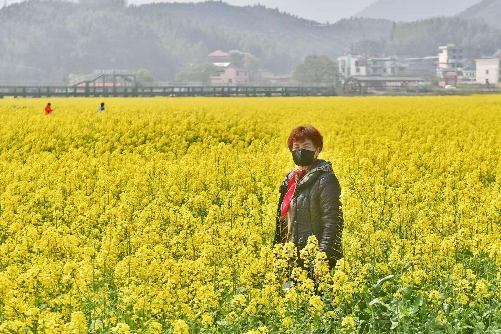 最新高产玉米种,心灵的田园之旅探索