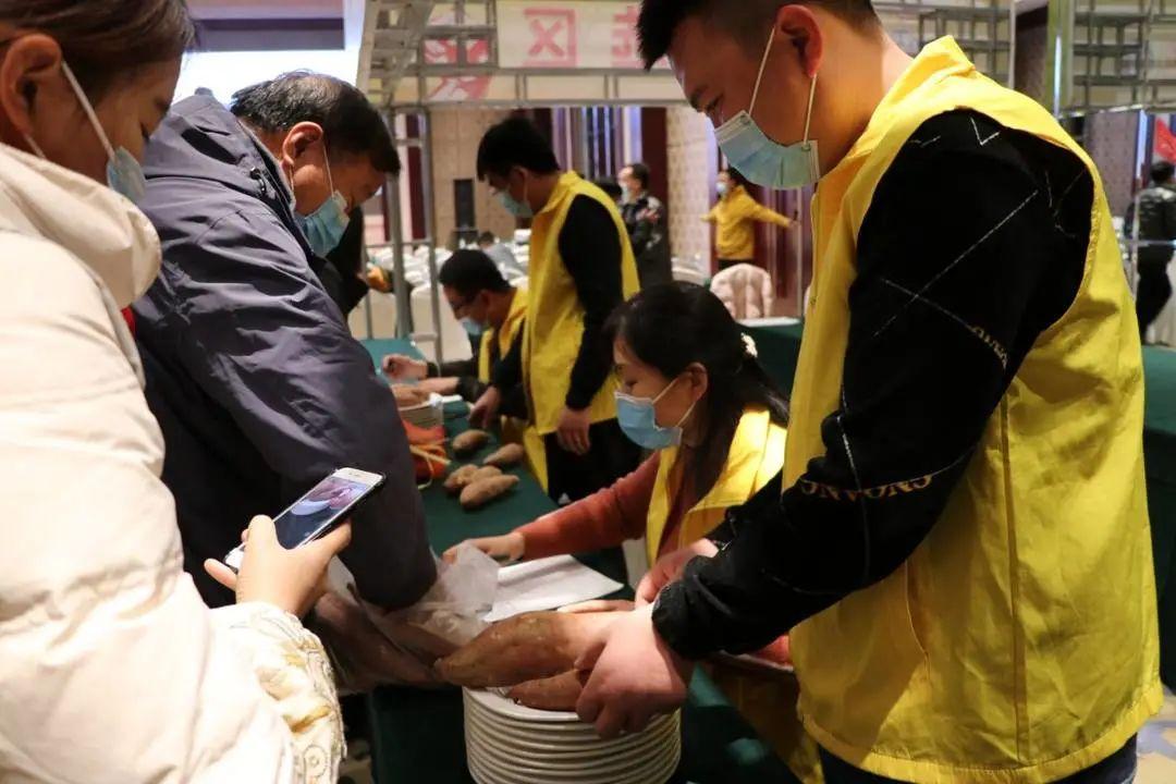 最新高产玉米种,心灵的田园之旅探索