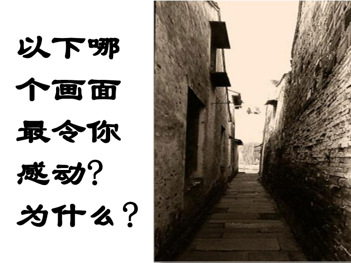 Tube6最新，小巷深处的独特风味，探索特色小店的必去之地