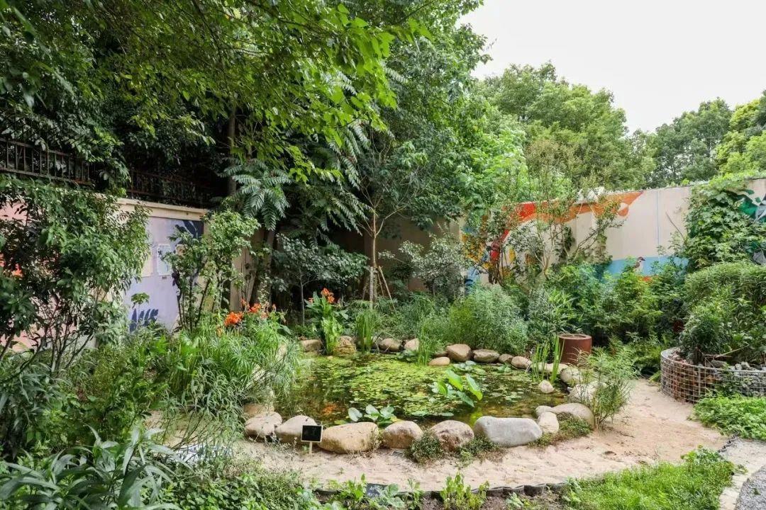 最新生存游戏揭秘,小巷神秘乐园探险之旅