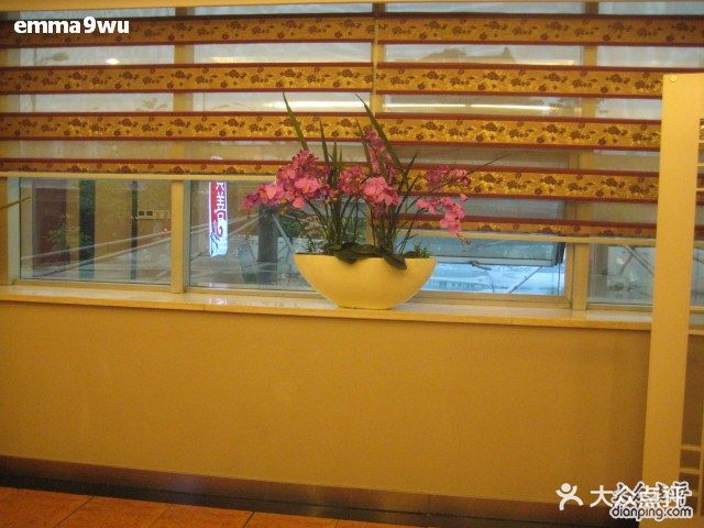 倍速课堂最新版，小巷中的隐藏宝藏，探索特色小店的精彩之旅