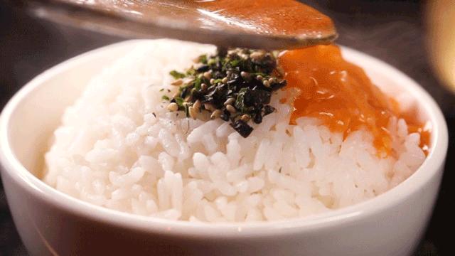 蛙宝网引领科技未来,重塑生活新篇章