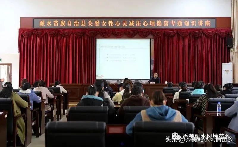 网贷之家P2P最新排名,心灵与自然的双重探索之旅