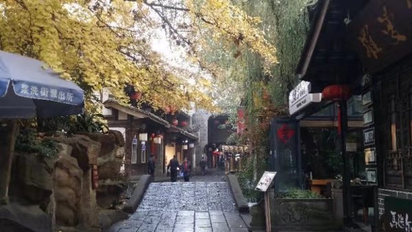 最新报销标准下的独特小巷美食之旅探索