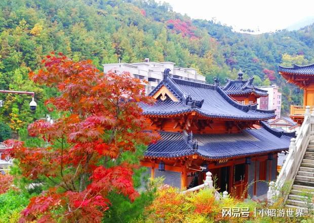 水貂最新价格揭秘,小巷中的珍稀皮草宝藏