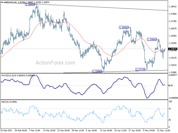 最新芝麻行情概览,市场走势、种植前景及案例分析