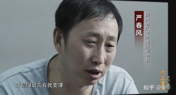 严书记最新动态揭秘,小巷深处的独特风味探秘之旅