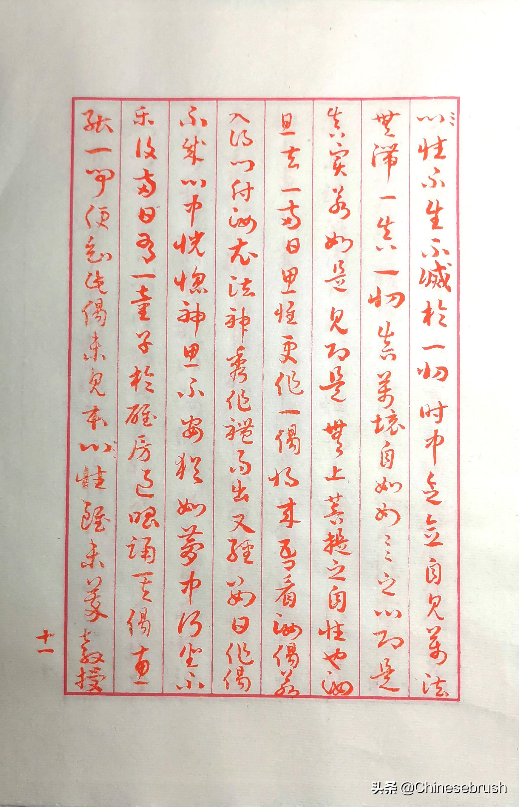 探索神秘世界的崭新篇章,无上之境最新章节