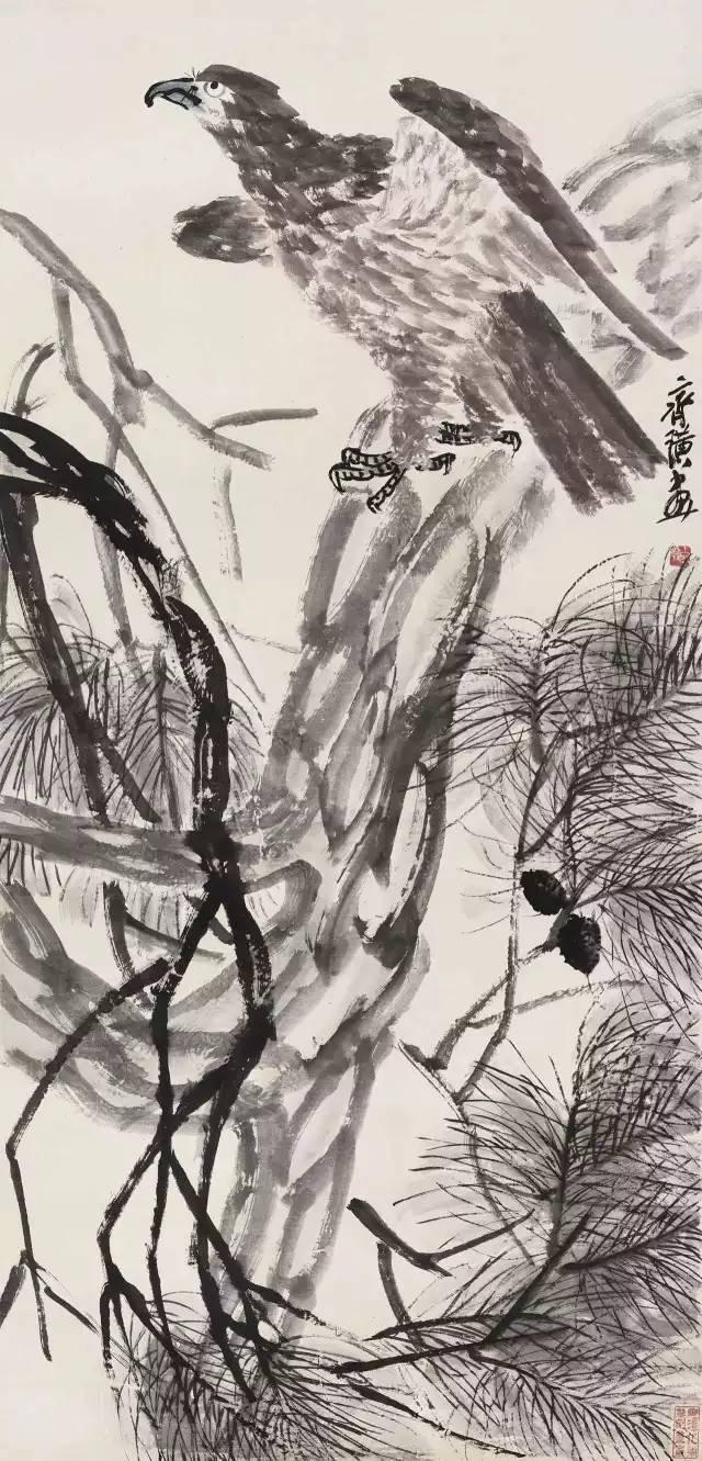 最新门照片,自然美景的探索与内心平和之地的寻找