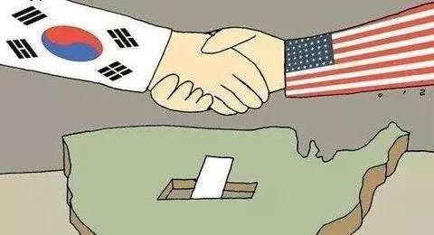 限韩令最新动态及其背后的温馨日常