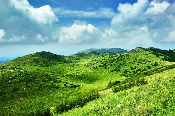 最新综艺迅雷下载,自然美景治愈之旅探索下载