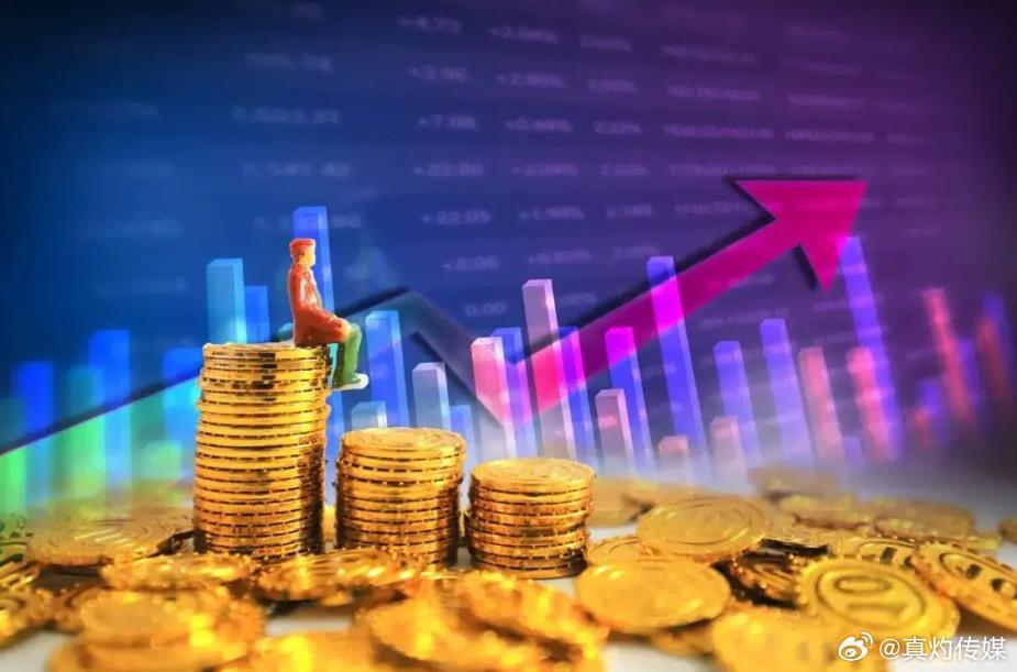 懒投资最新动态,深度探索背景、重大事件与业界地位