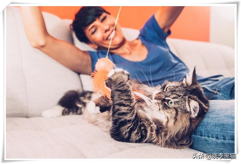 最新视力标准揭秘,变化的力量与自信的旅程探索