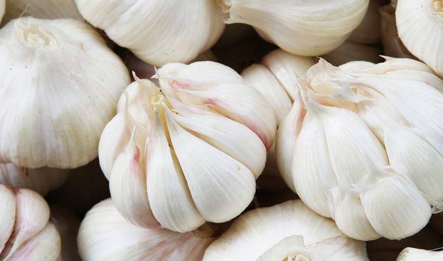 山东大蒜最新价格行情揭秘,科技引领市场新篇章