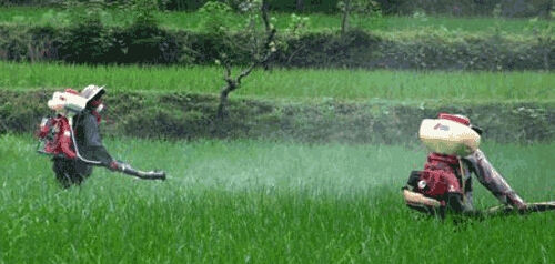 农一网化肥批发价格,与自然美景的邂逅之旅,探寻内心的宁静平和