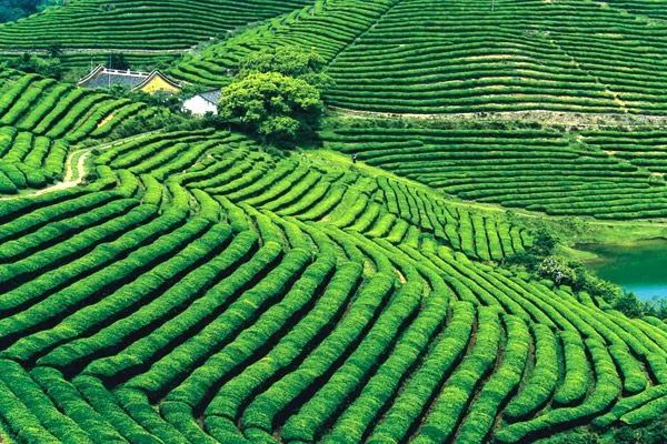 农一网化肥批发价格,与自然美景的邂逅之旅,探寻内心的宁静平和