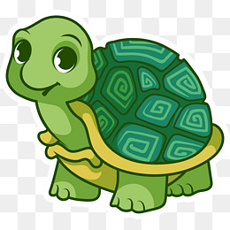 乌龟动漫,探索独特领域的魅力