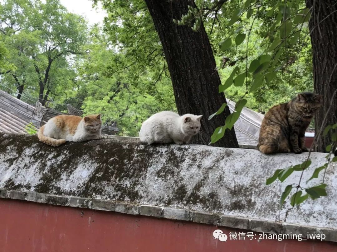 人民币最新动态,趋势、影响及前景展望全解析