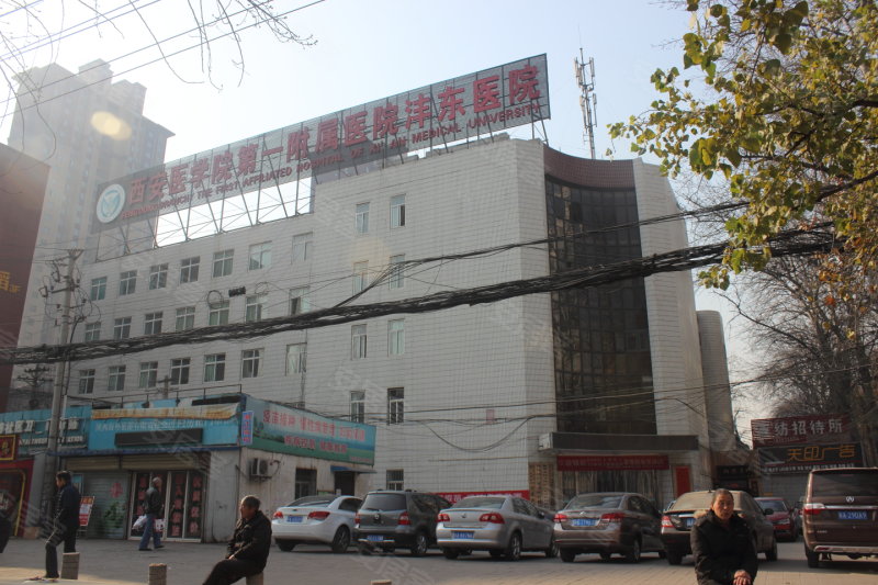 西安梧桐年华最新动态,科技引领未来,重塑生活新篇章