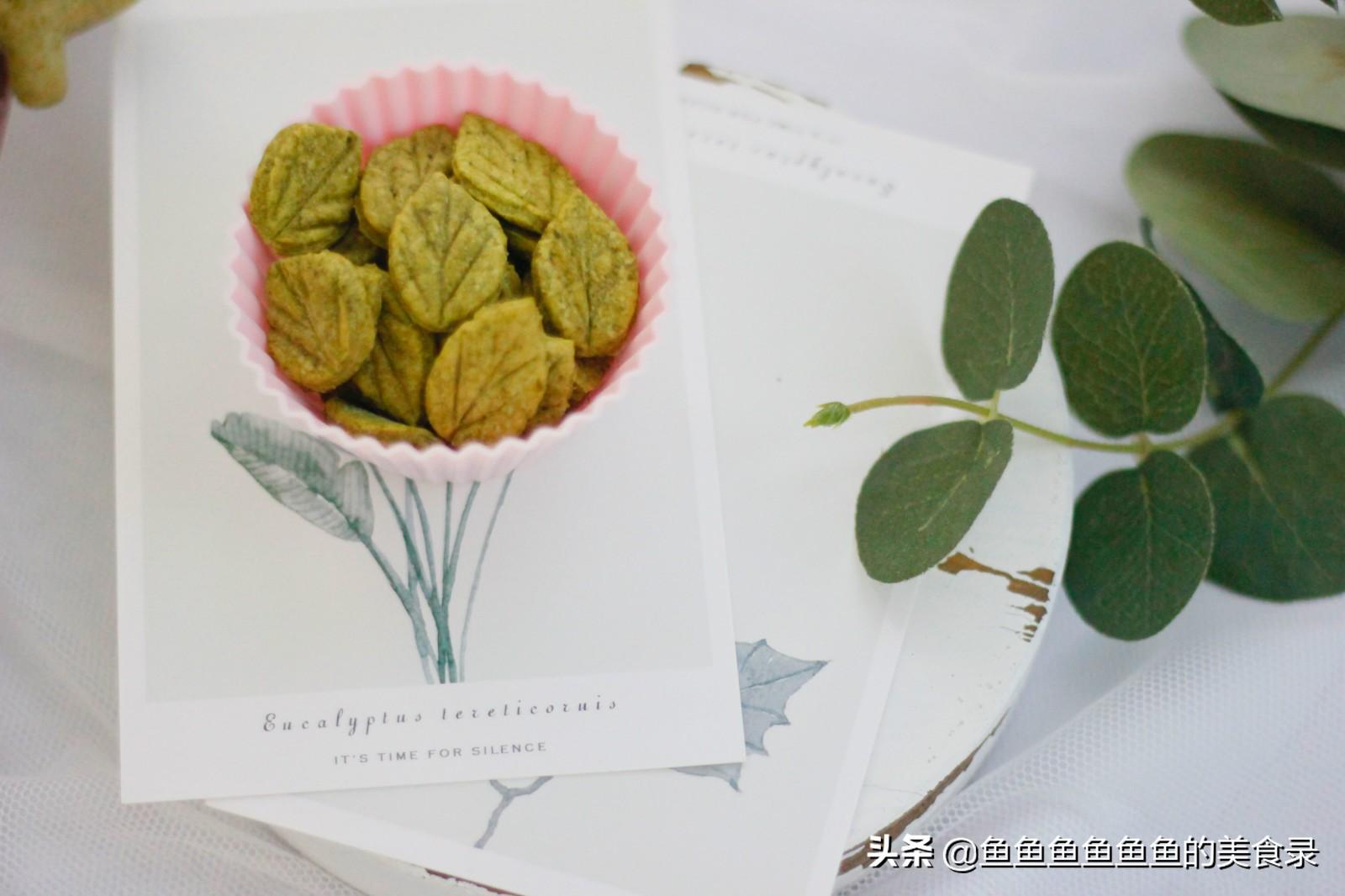 上海地铁19号线最新线路图,城市变迁与成就感的源泉