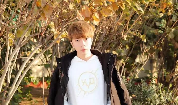 动漫昵称大全,如何打造你的二次元世界专属名字?