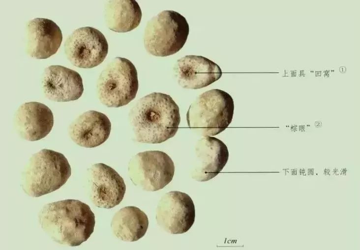 第557页