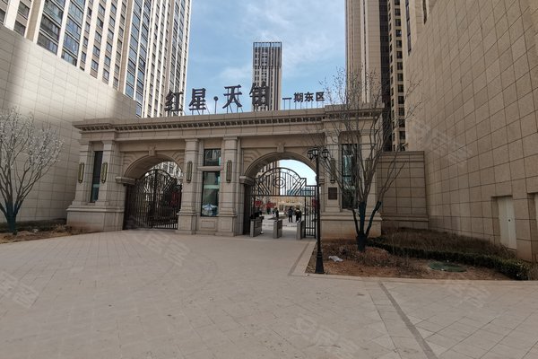 天鸿红星里最新动态速递📢