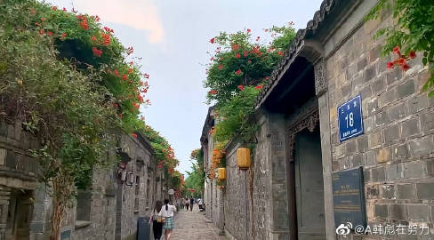 宿州肺炎最新动态与巷弄深处的独特风味