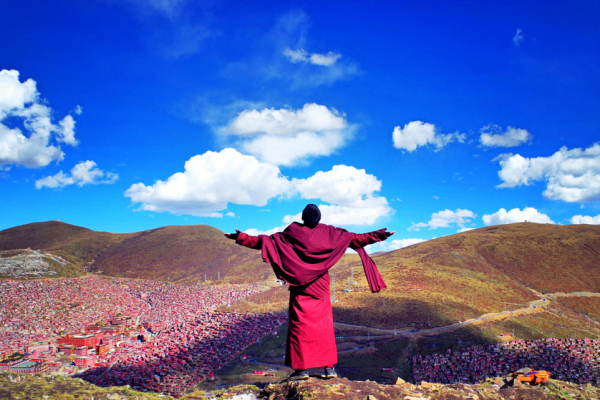 最新武器与探索自然,寻找内心平和的旅程