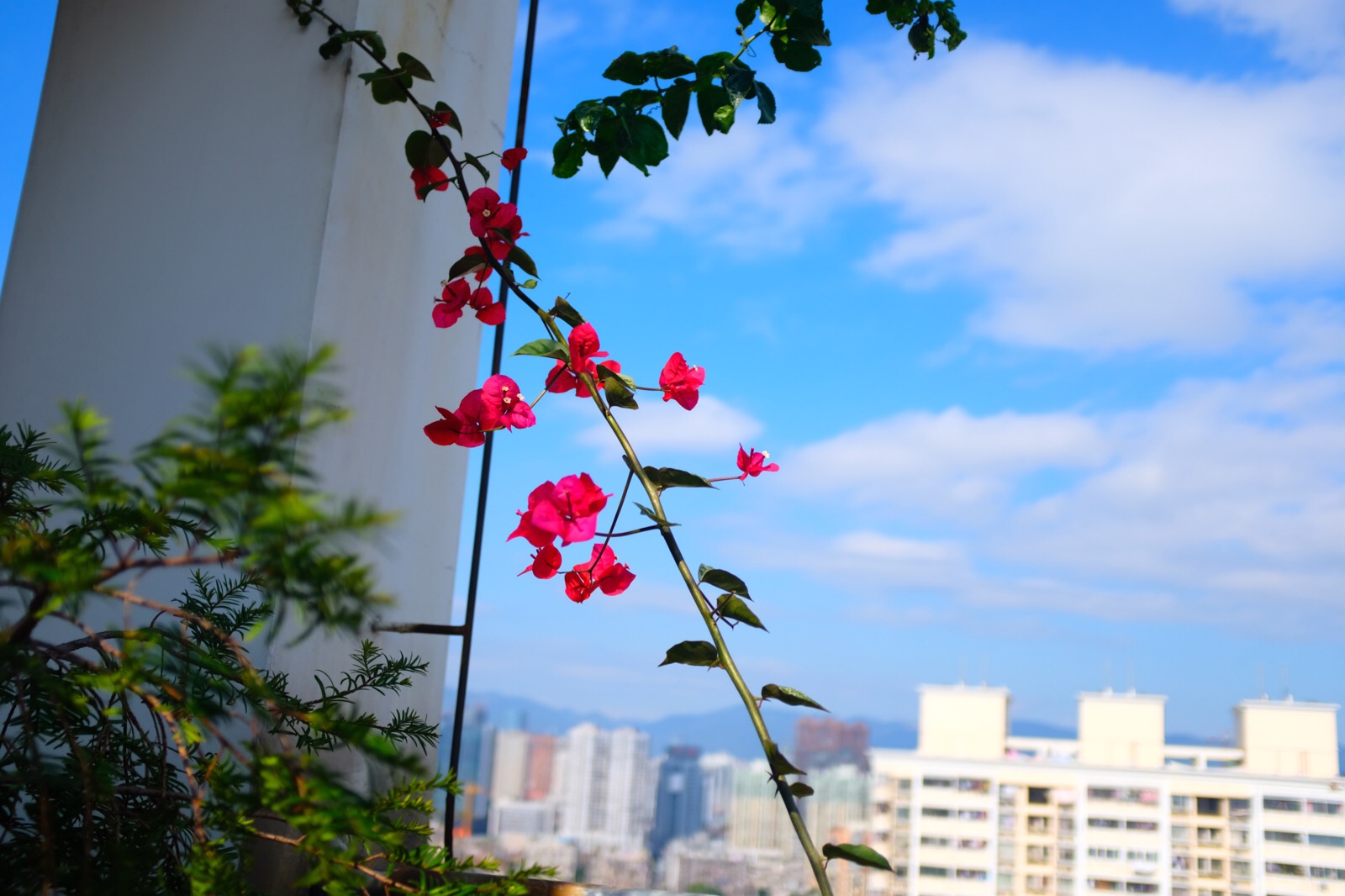 晨间美好图集,唤醒美好一天的视觉盛宴
