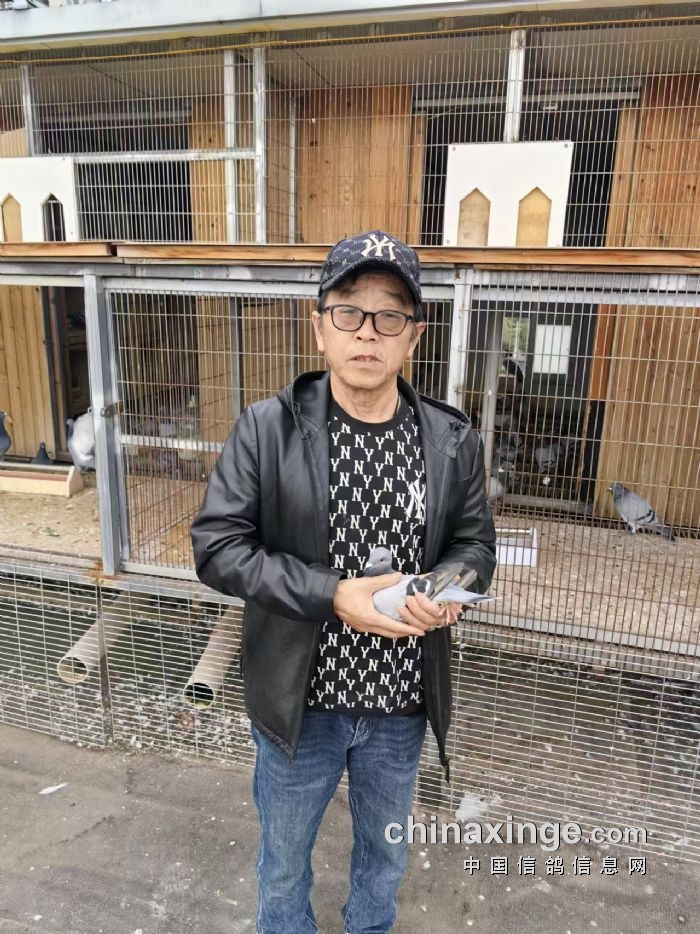 秦都公棚最新动态，友情与陪伴的温馨时光