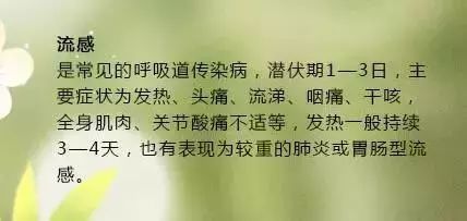 梅雁吉祥下周行情，友情与陪伴的温馨故事展望