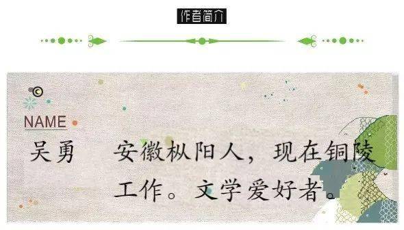 虢违章信息更新,力量变迁与自信之旅