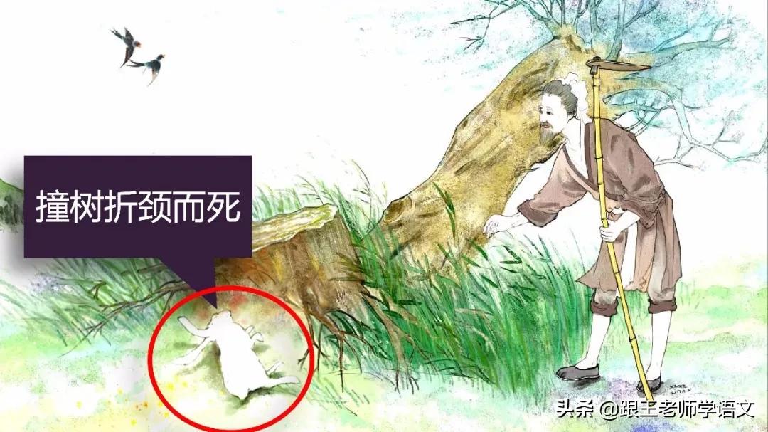 小学三年级朗读比赛精彩稿件展示