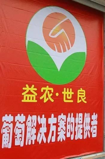 S2B2X电商体系 第110页